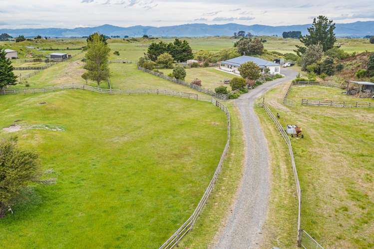 334 Motuiti Road Foxton_23