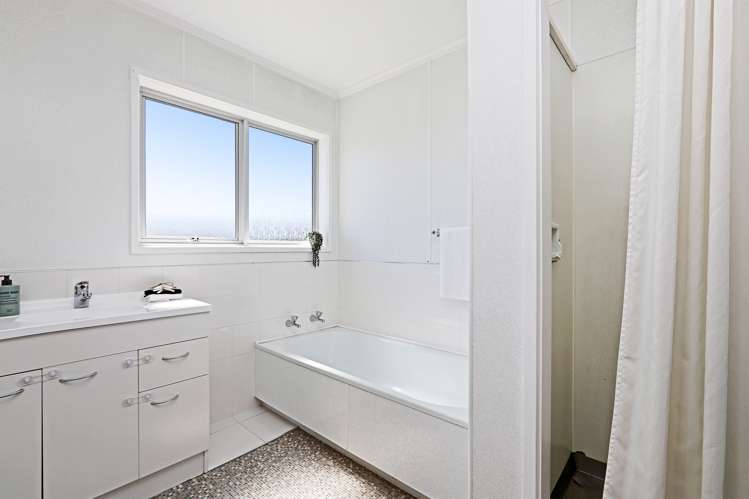 20 Southwark Avenue Tamatea_12