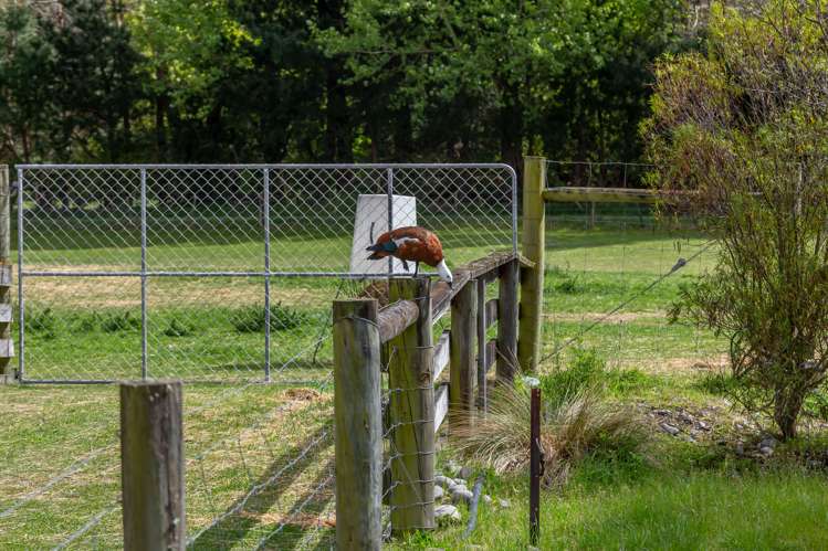 281 Jowers Road West Melton_31