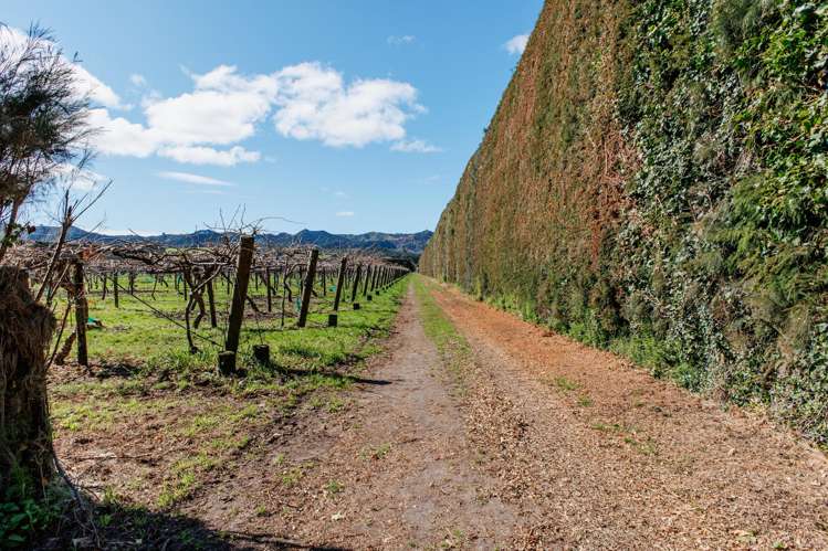 59 Macdonald Road Te Teko_11