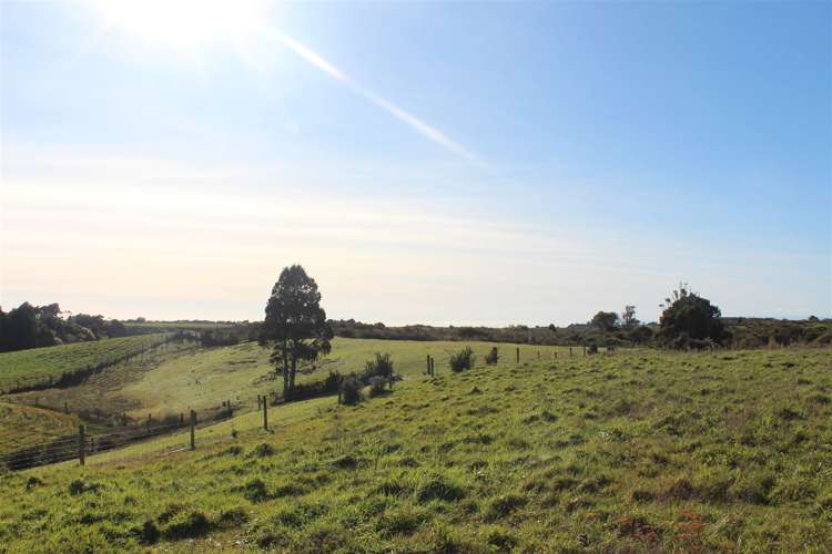 1000 Wilsons Lead Road Cape Foulwind_18