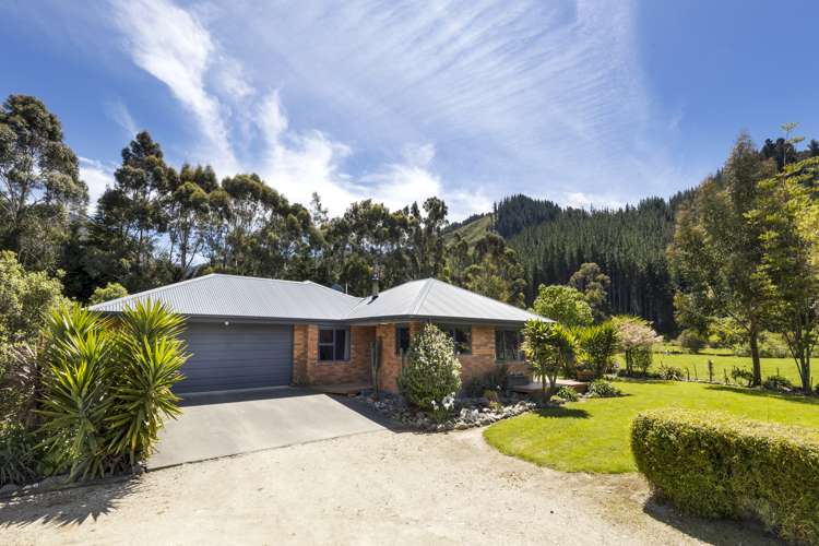 132 Mount Riley Road Havelock_7