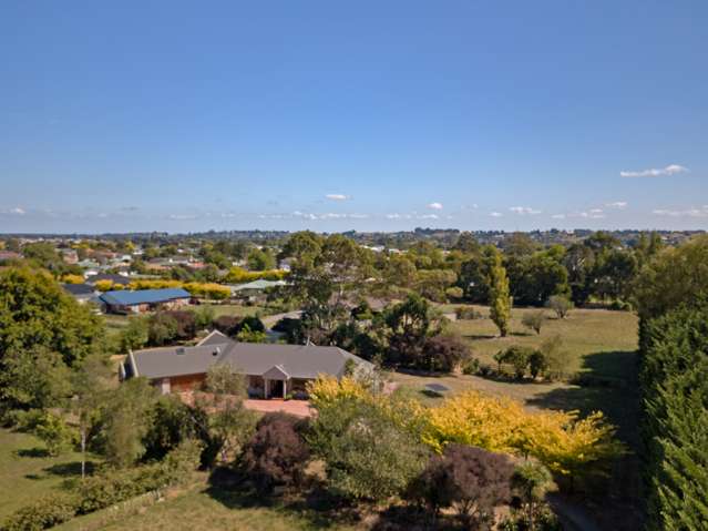 61 Pharazyn Street Feilding_4