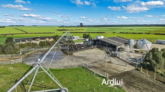 Aurora Dairies Te Pirita_1