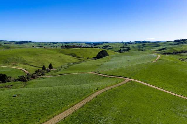 Consistent Producer in Raglan