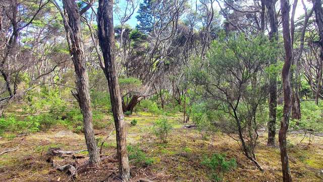 21 Woods Ridge Road Kawau Island_1