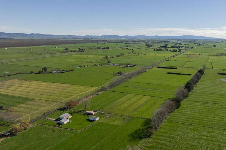 649 Wani Road Netherton_32