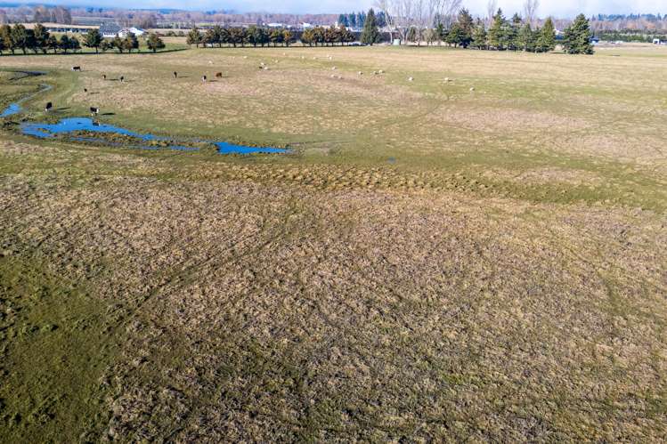 32 & 36 Clayton Road Fairlie_10