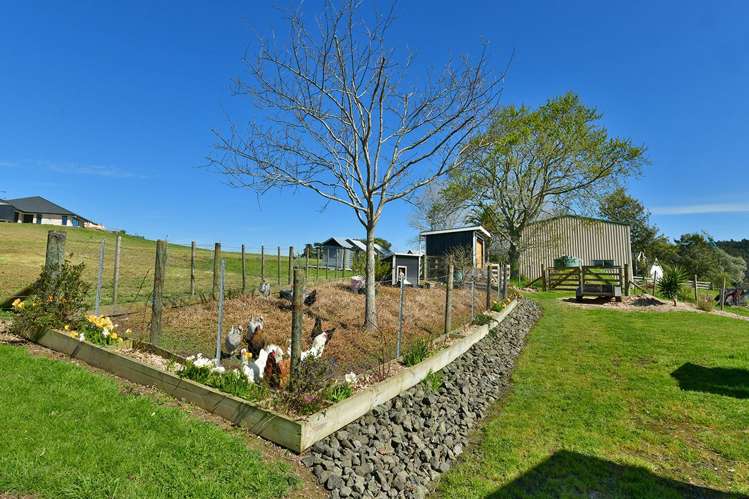 655 Kaipara Coast Highway Kaukapakapa_6