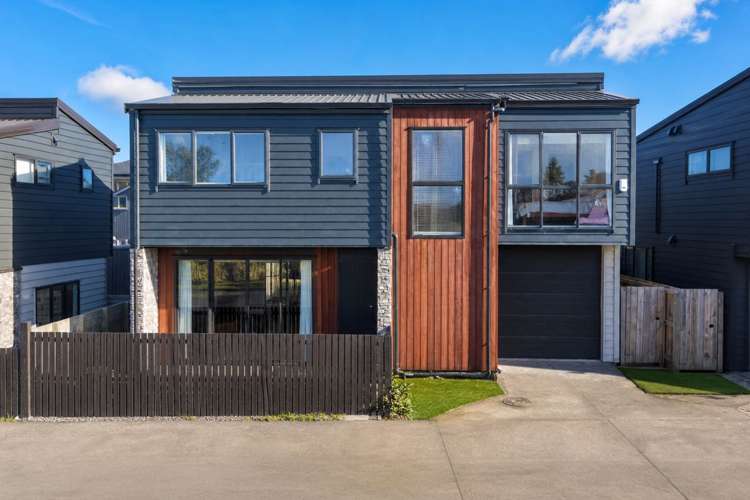 84b Francis Street Hauraki_1