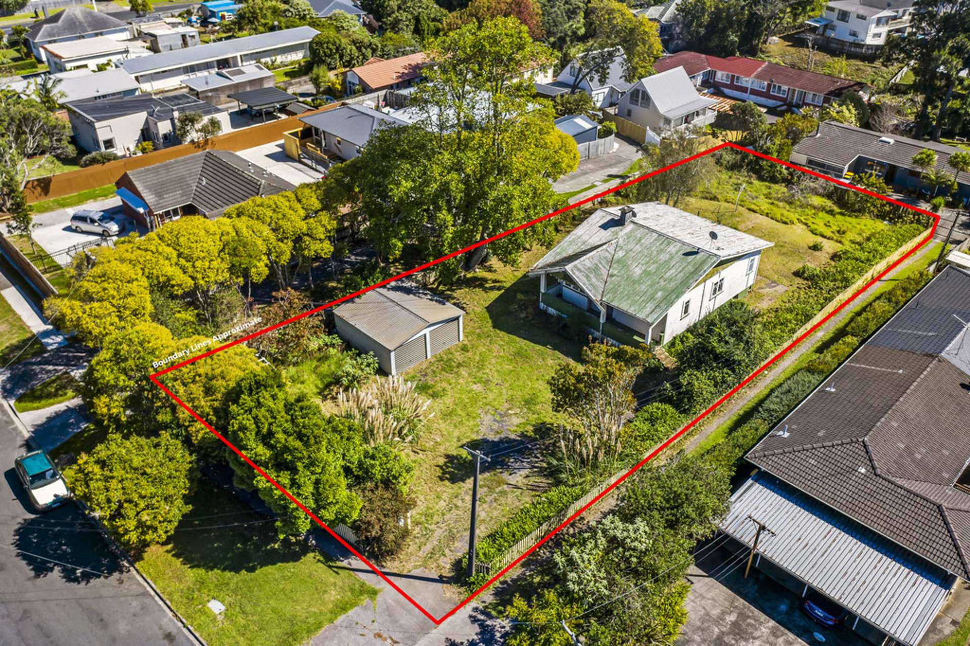 117 Seabrook Avenue New Lynn_0