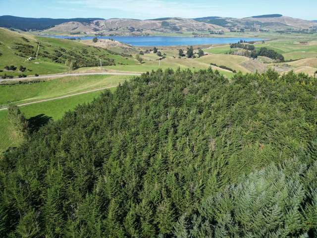 Bush block lifestyle