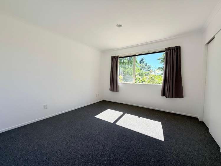 1164 No 3 Road Te Puke_17