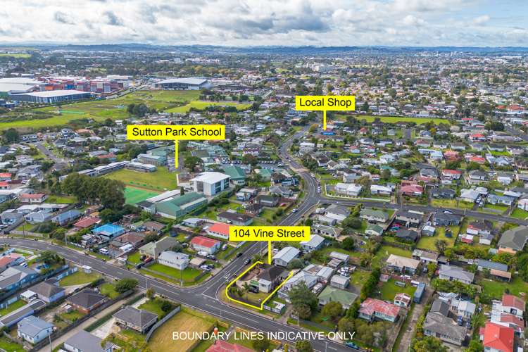 104 Vine Street Mangere East_9