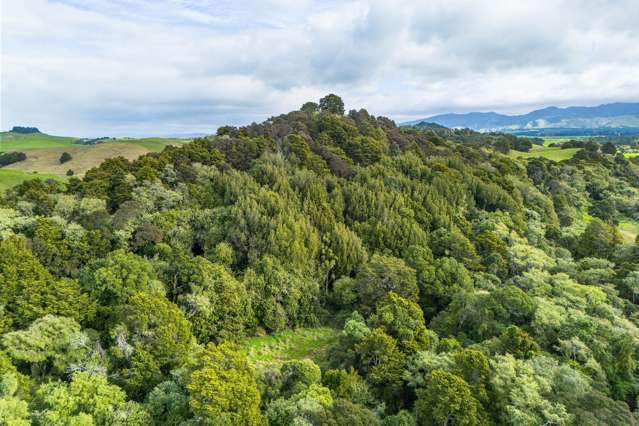 137 Kiritaki Road Dannevirke_3