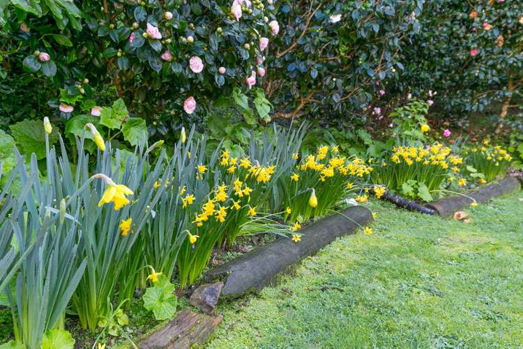 43 Futuna Close Karori_14