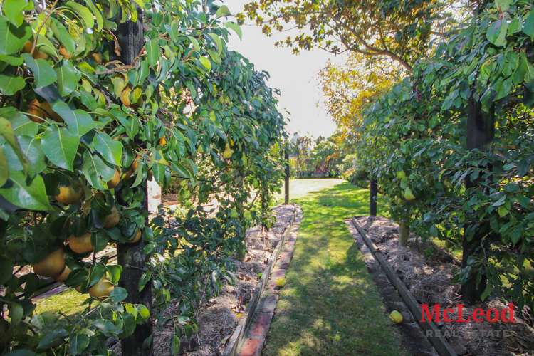 33 Creek Road Allenton_19