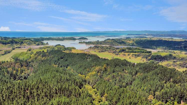 700 Burma Road Maraetotara_5