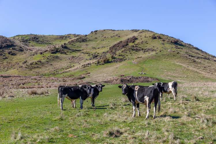 268 Patersons Road Motunau_5