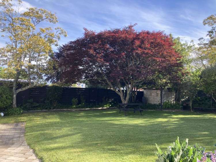 19 Selwyn Road Havelock North_16