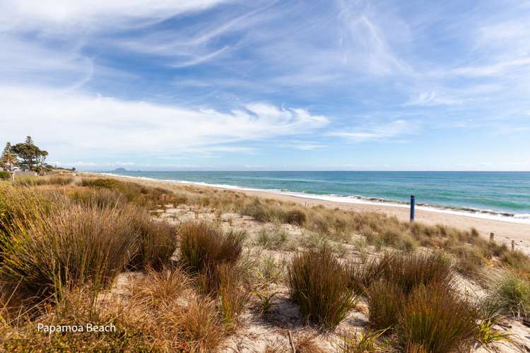 124a Karewa Parade Papamoa_15