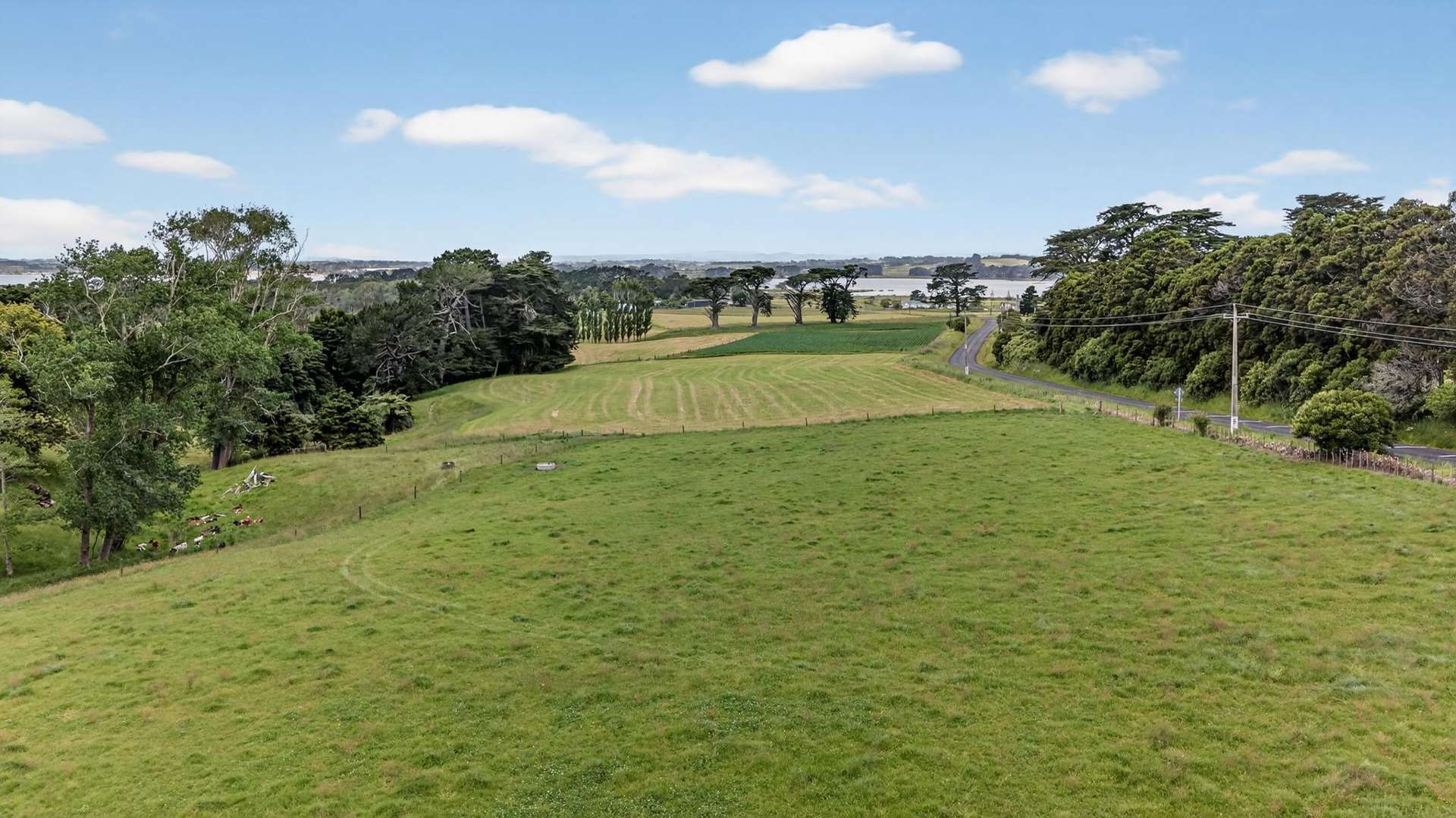 00 Awhitu Road Waiuku_0