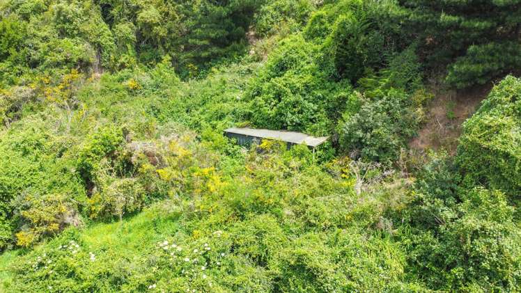 94 Aramoana Road Port Chalmers_12