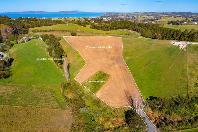 170 Hamilton Road Warkworth_4