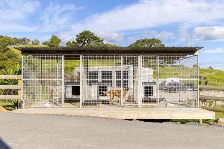 105 Zanders Road Helensville_28