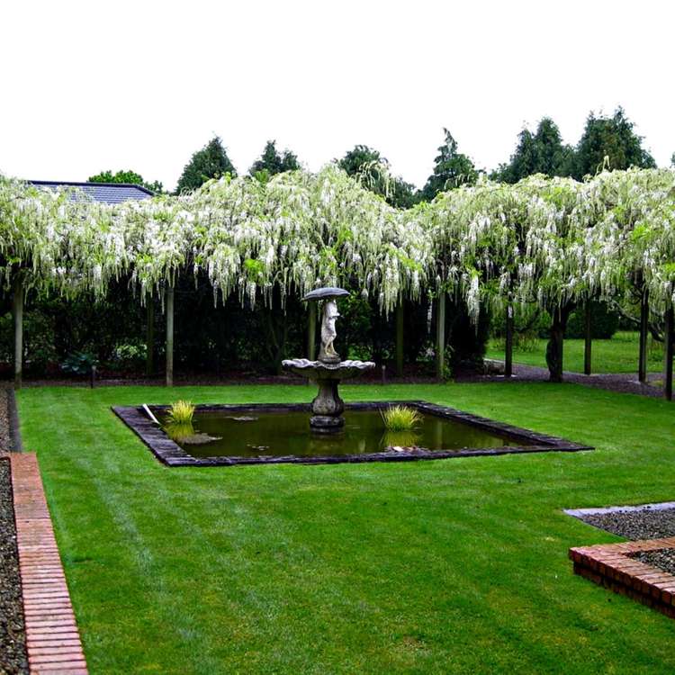 151 Maungatautari Road Cambridge_9