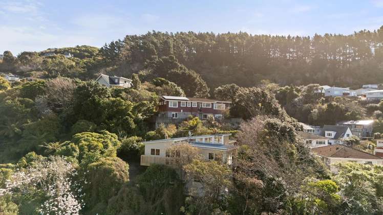 1 Fyvie Avenue Tawa_15