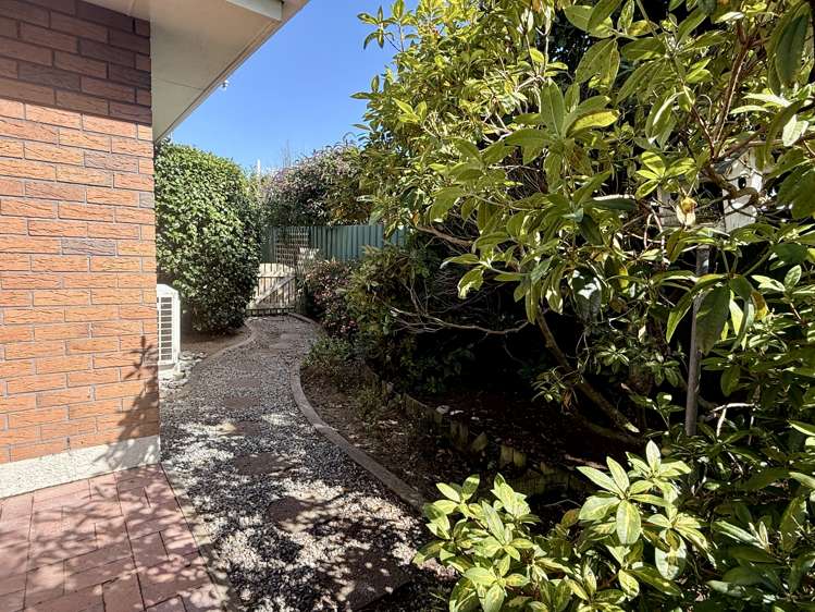 64 Maitland Street Strathern_34