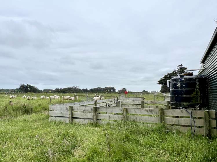 203 Curran Road Otatara_23