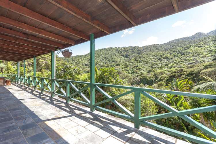 820 Colville Road Coromandel_7