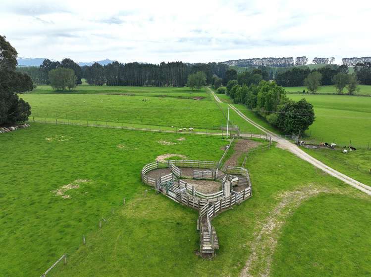 1148 Blackmount Redcliff Road Whare Creek_6