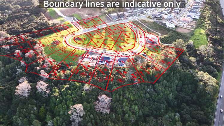 67 Kewa Road Albany Heights_4