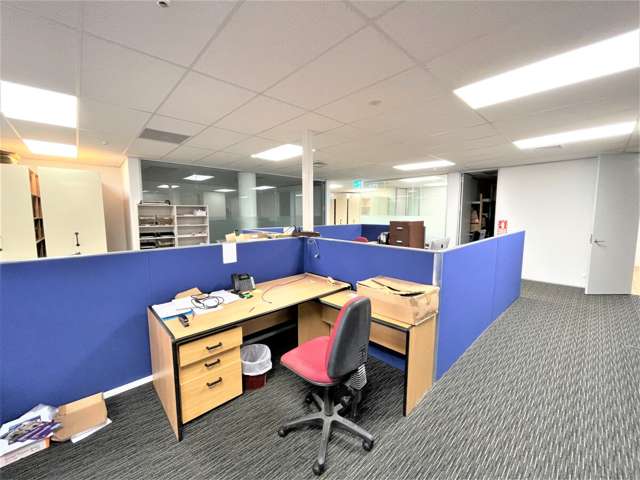 114 Dominion Road Mount Eden_3