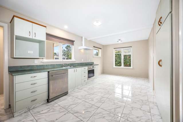 17 Pembroke Street Avondale_2