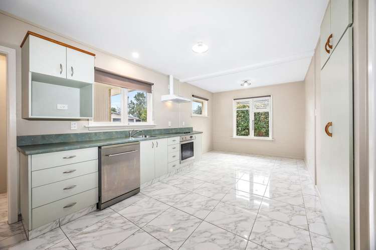 17 Pembroke Street Avondale_2