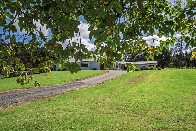 587C Crane Road Kauri_29