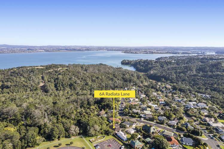 6a Radiata Lane Chatswood_18