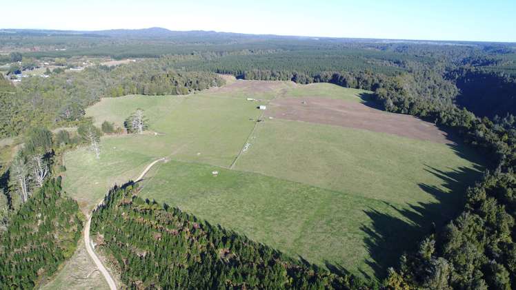 758 Mclaren Falls Road Kaimai_7