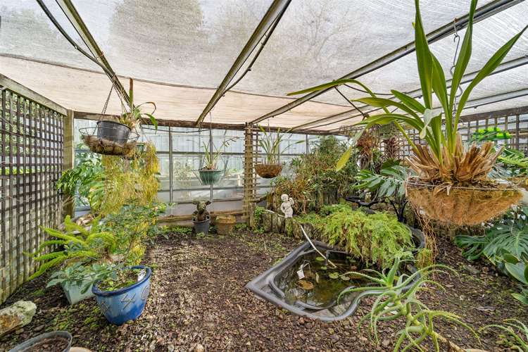 53 Brightside Road Stanmore Bay_12
