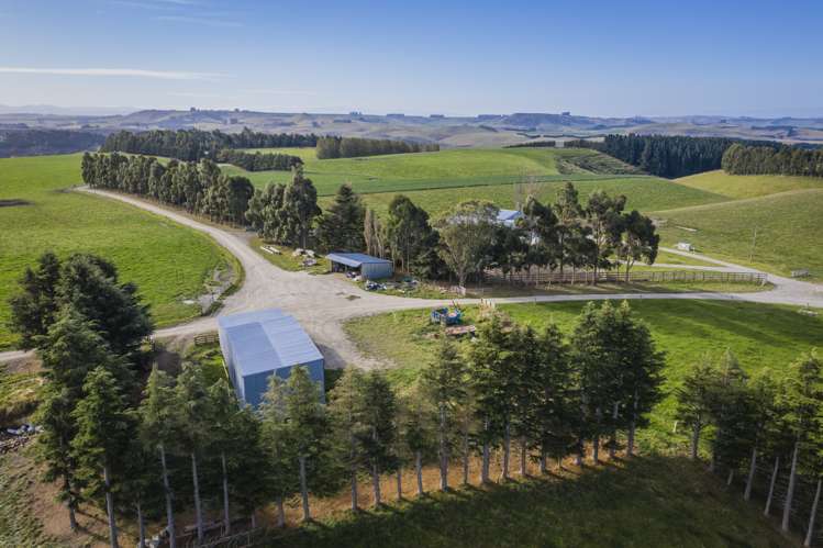 98 Johnstons Road Five Forks and Surrounds_6