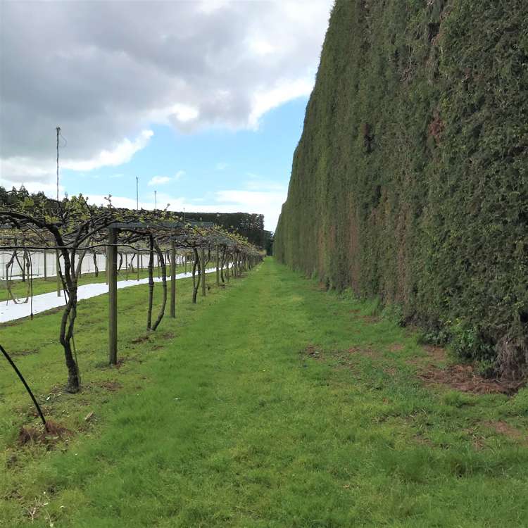 162 Waimea Drive Te Puke_22