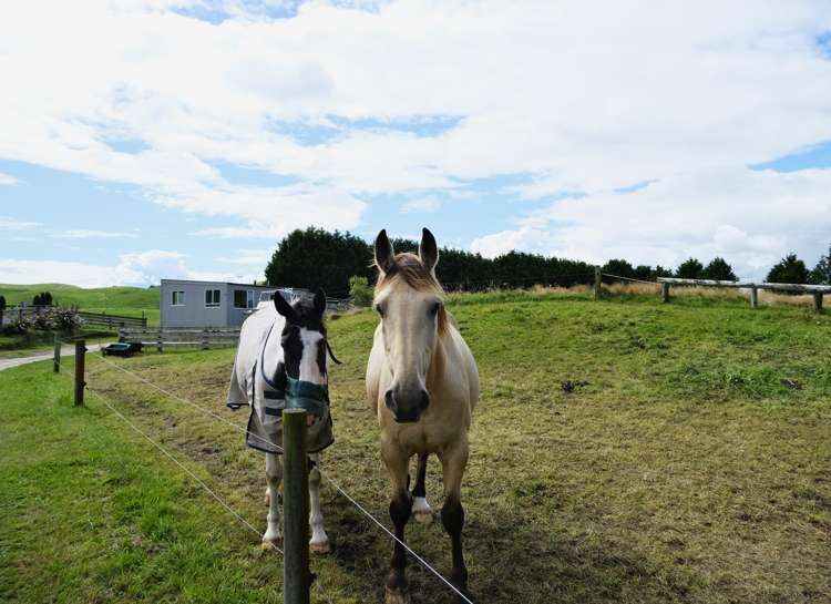 804 Tukairangi Road Kinloch_20