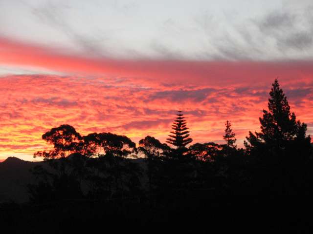 50 Matahui Road Aongatete_4