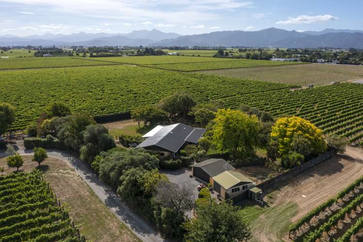 44 Rene Street Springlands_2