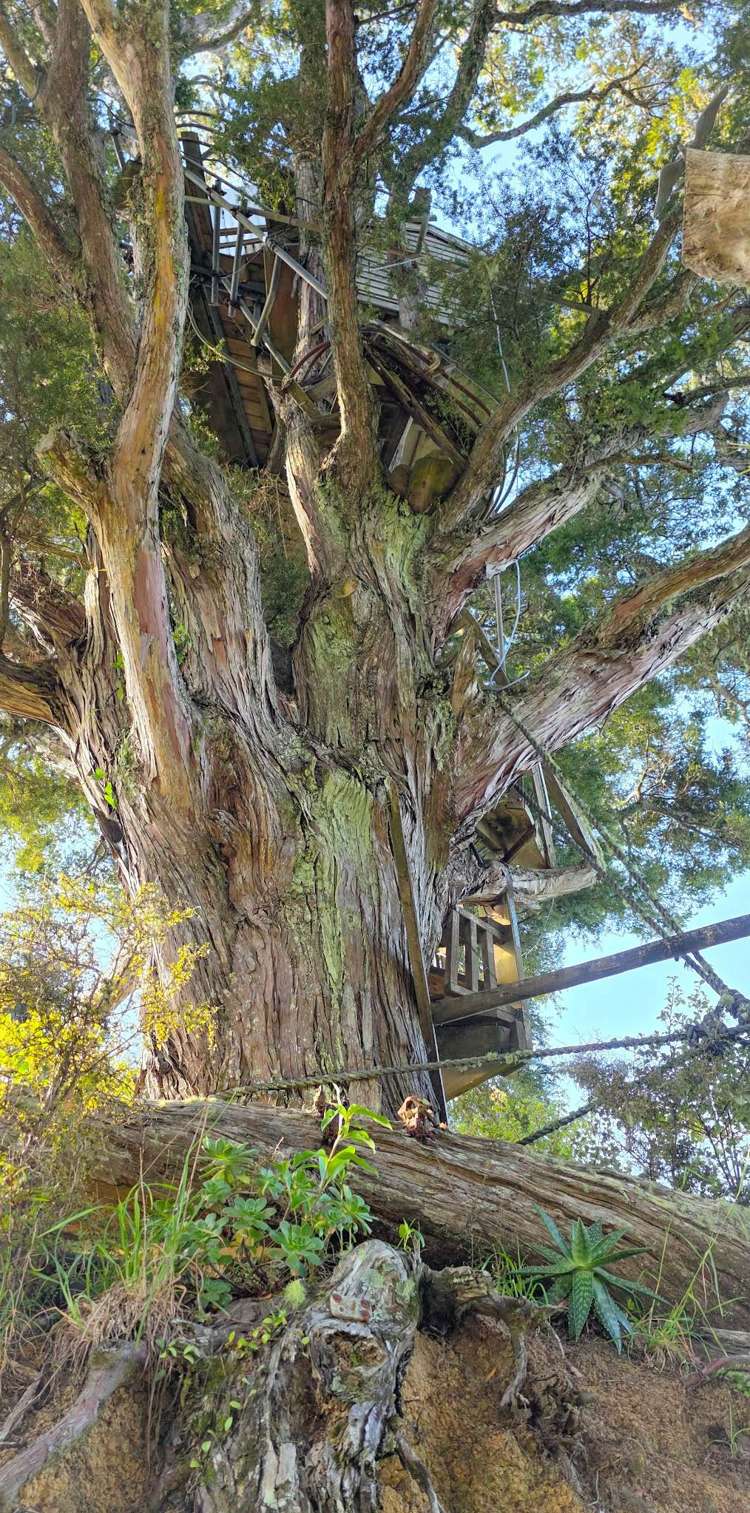 180 Noakes Road Puhoi_45