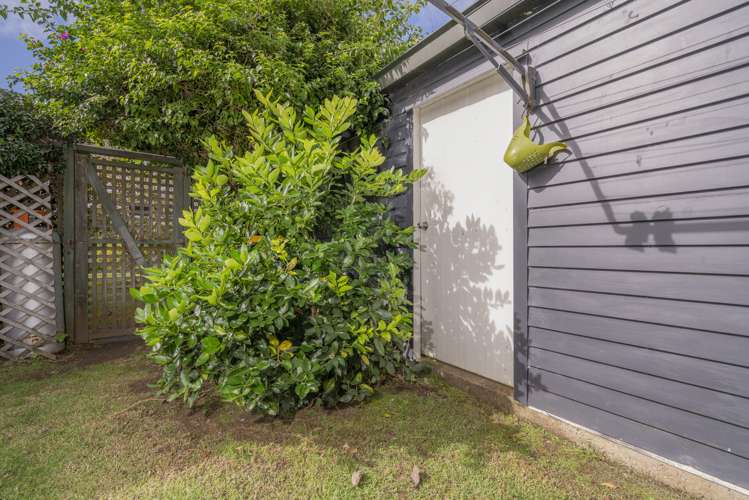 10a Parkland Place Whitianga_22